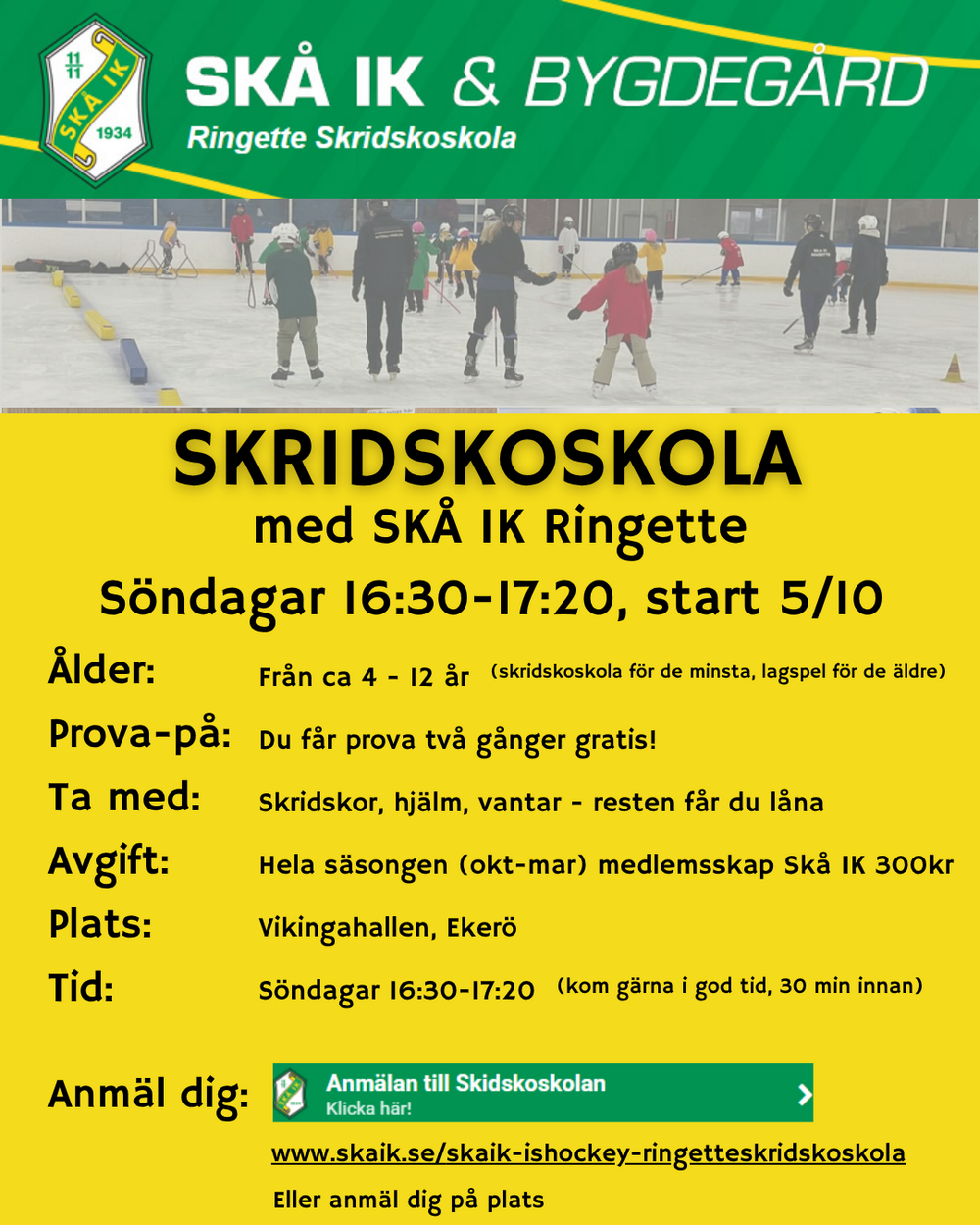 Skridskoskolan